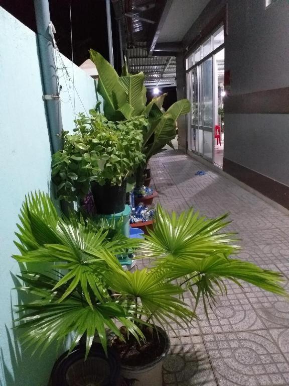 Nha Nghi Nguyen Anh Hotel Long Hai Eksteriør billede