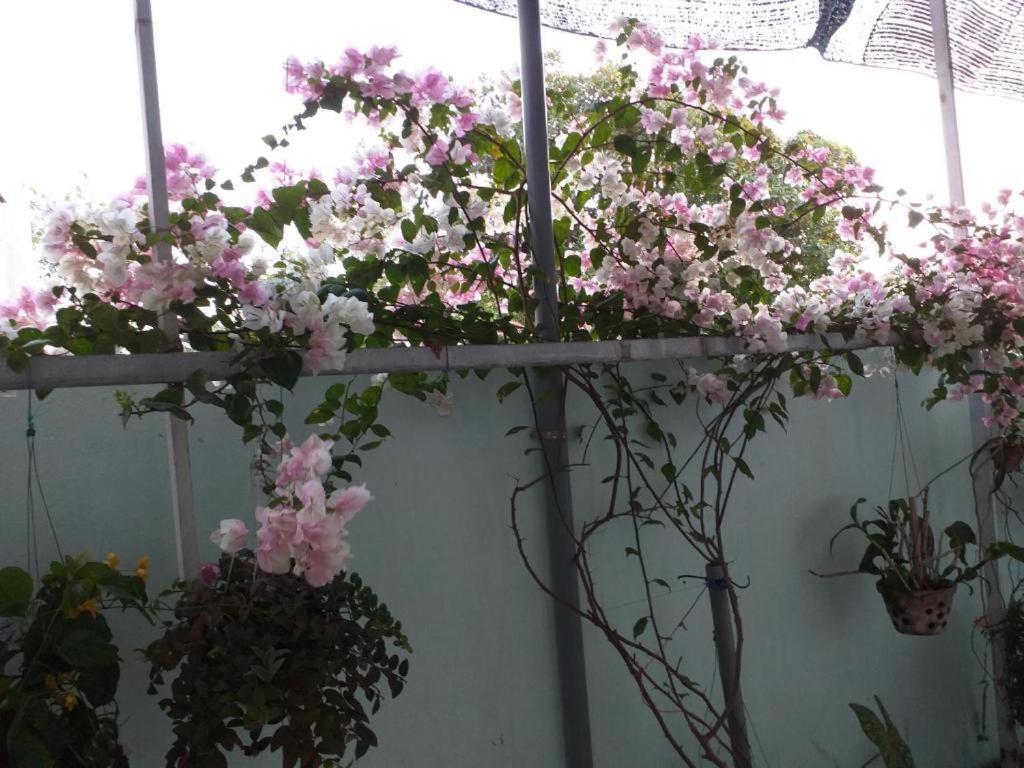 Nha Nghi Nguyen Anh Hotel Long Hai Eksteriør billede